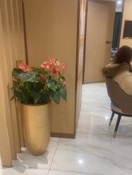 -南京康美美容医院·旗舰店