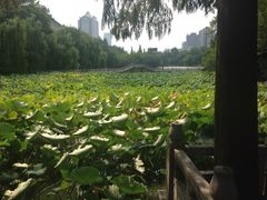 包公祠-包公祠