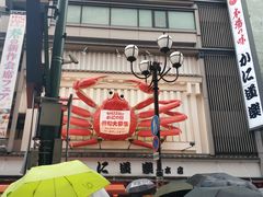 -蟹道乐(道顿堀本店)
