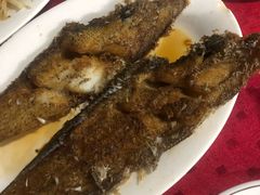 -蛇口康乐快餐鱼仔档(翠苑小区店)
