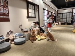 -逗柴咖啡屋·狗咖猫咖宠物桌游