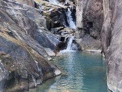 -广州白江湖森林公园