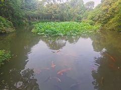 -成都杜甫草堂博物馆
