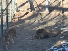 -青藏高原野生动物园