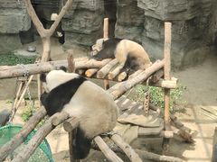 -沈阳森林动物园