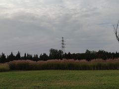 -汉长安城未央宫国家考古遗址公园