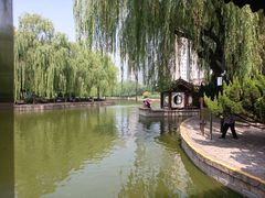 -团结湖公园