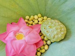 -第六季自助餐厅(甜水园店)