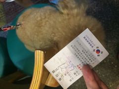 -金顺碳烤肉(1号店)