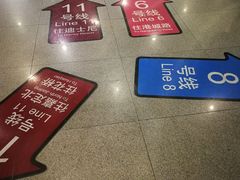 -东方体育中心(地铁站)