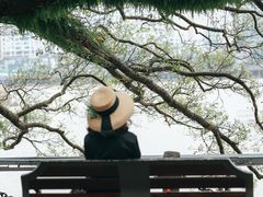 -江心屿景区