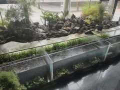 -豫丰汇河南名菜楼(武记餐饮)