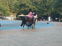 -杭州少年儿童公园