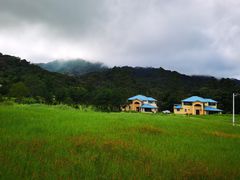 -海南热带雨林国家公园吊罗山景区