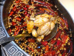 -销魂美蛙鱼头火锅(上海首店)