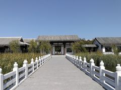 -呼兰河口湿地公园