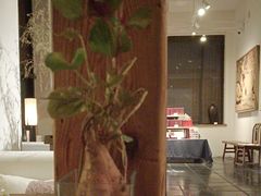 -瓦库茶馆17号(海汇港店)