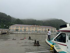 -大鹿岛