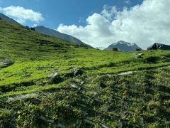 -新疆那拉提国家旅游度假区