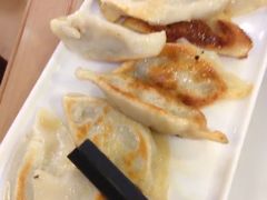 白菜猪肉水饺-东方饺子王(新奥购物中心店)