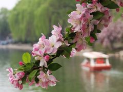 -陶然亭公园