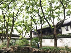 -上海醉白池公园