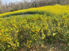 -盘龙城国家考古遗址公园