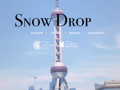 -陆家嘴中心绿地