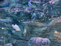 -欢乐海岸海洋奇梦馆