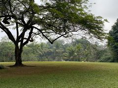 -中国科学院西双版纳热带植物园