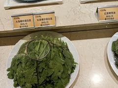 -双井轩(双井店)