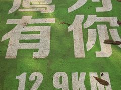 -张鸟园农家乐(张鸟园店)
