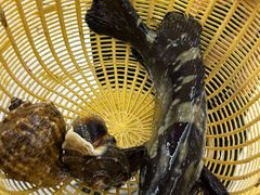 -鑫鸿达·海鲜闽菜热炒小馆(中山路店)