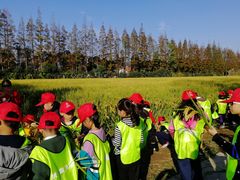 -上海长兴岛郊野公园