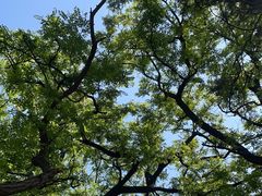 -青岛市江苏路基督教堂