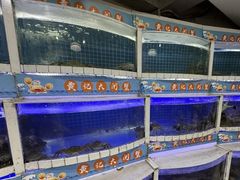 -黄记大闸蟹专卖店·活蟹·醉蟹