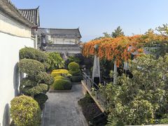 -喜林苑·稻田餐厅(品相府店)