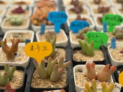 -瑞虹新天地月亮湾