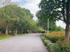 -白塘生态植物园