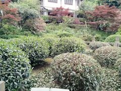 -十八棵（老龙井）御茶园(老龙井店)