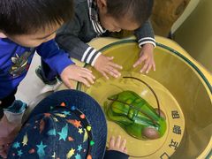 -上海昆虫博物馆