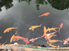 -千滋百味·醉江澜花园餐厅(街道口店)
