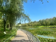 -泰安地下龙宫景区