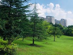 -复旦大学江湾校区食堂