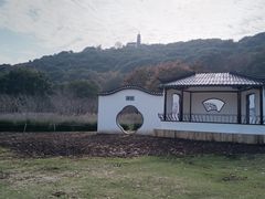 -苏州上方山国家森林公园