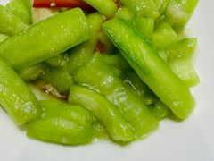 -丁老爷子苏香圆
