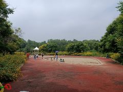 -潇河湿地公园