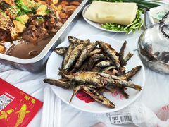 -庆岭迎宾园正宗活鱼馆