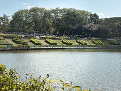 -东莞植物园