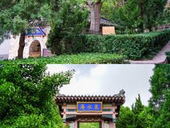 -龙口南山旅游景区